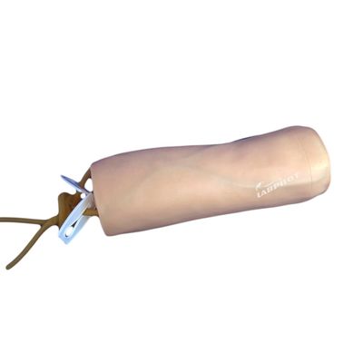Science médicale Modèle de pratique de la vénénecture et de la transfusion sanguine avec modèle de coude IV