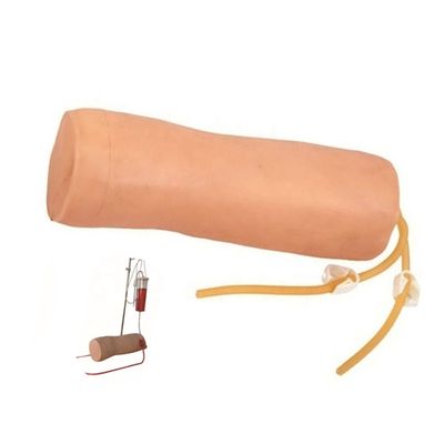 Science médicale Modèle de pratique de la vénénecture et de la transfusion sanguine avec modèle de coude IV