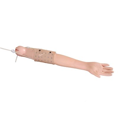 Enseignement clinique sur le simulateur de bras complet pour l'injection intradermique et la pratique de la vénénecture