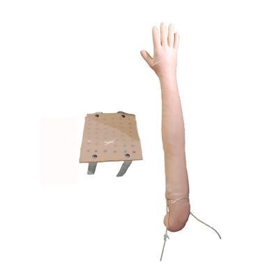 Enseignement clinique sur le simulateur de bras complet pour l'injection intradermique et la pratique de la vénénecture