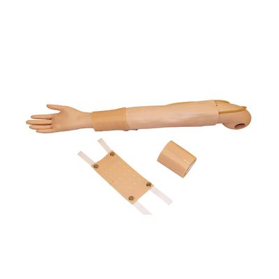 Enseignement clinique sur le simulateur de bras complet pour l'injection intradermique et la pratique de la vénénecture