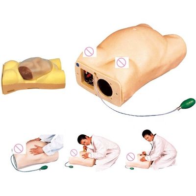 Modèle de mannequin de palpation électronique de la maternité avec fonction d'auscultation gynécologique