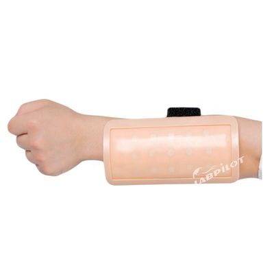 Injection intradermique Pad d'enseignement de la peau humaine Modèle IV Formateur pour les sciences médicales