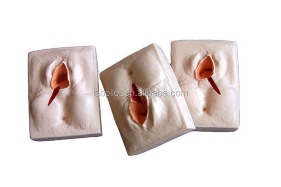 Compétences gynécologiques Enseignement 3-Sets Simulateur de suture du périnée et modèle de suture de plaie d'épisiotomie