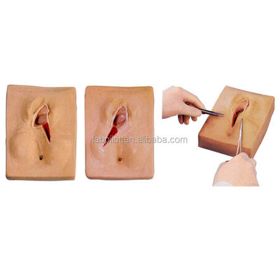 Compétences gynécologiques Enseignement 3-Sets Simulateur de suture du périnée et modèle de suture de plaie d'épisiotomie