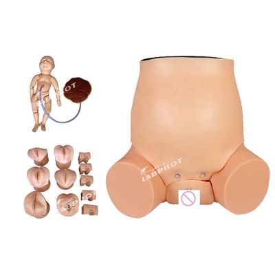 Simulateur de soins de la femme enceinte pour la formation en obstétrique