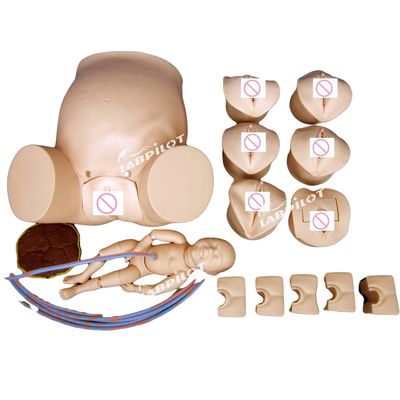Simulateur de soins de la femme enceinte pour la formation en obstétrique