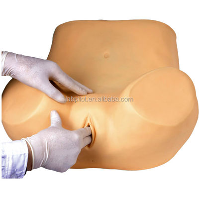 Science médicale Diverses compétences en soins infirmiers gynécologiques Formation mannequin Examen pelvien et vaginal Modèle