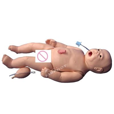 Entraînement en réanimation cardio-vasculaire avec mannequin