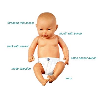 Simulateur intelligent de soins pour nourrissons qui enseigne les compétences infirmières aux pédiatres