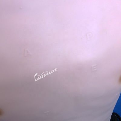 Manikine à demi-corps pour l'examen physique Enseignement à l'hôpital spécial pour femmes et enfants