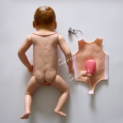 Trachéostomie infantile pédiatrique soins infirmiers mannequin modèle pour une simulation réaliste