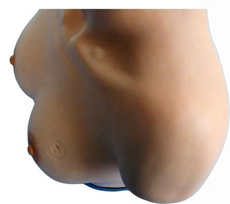 Compétences gynécologiques Enseignement du mannequin pour l'inspection du sein et le simulateur de palpation