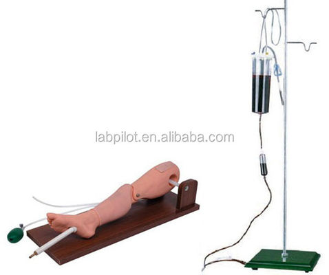 Simulateur pratique de ponction de moelle osseuse et de vénénecture fémorale pour l'entraînement