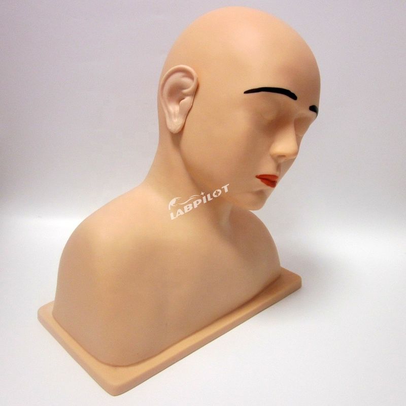 Modèle d'oreille vivante de taille humaine L'outil ultime pour le simulateur de formation d'irrigation de l'oreille