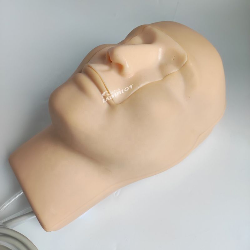 Simulateur d'hémorragie nasale de tête et de cou pour démonstration de soins aux patients