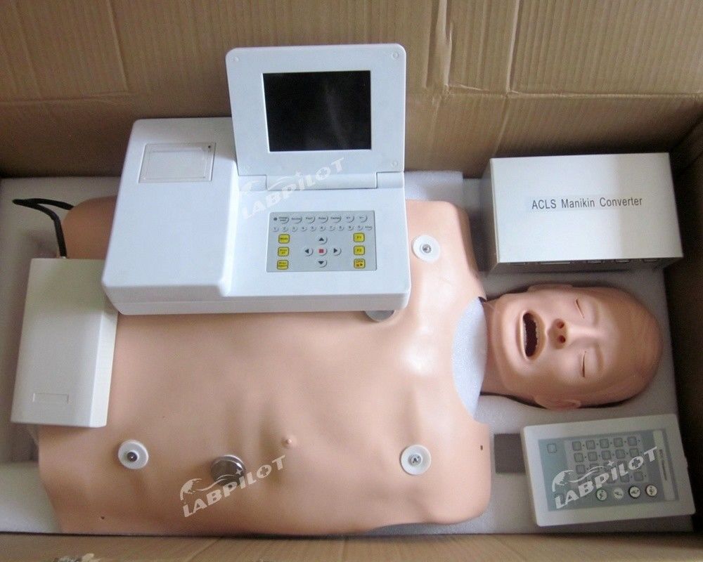 Manivelle en PVC pour la formation médicale dans les catégories ACLS et modèle d'intubation IV