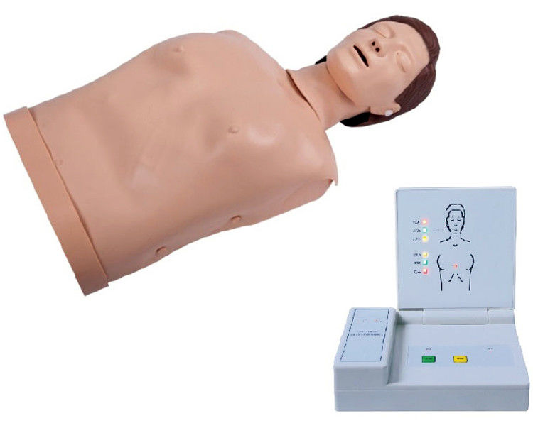 Entraînement en RCR pour adultes en PVC informatisé avancée Manikine d'instruction d'urgence Dummy pour la science médicale