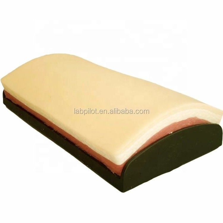 Taille de vie humaine Pratique de suture chirurgicale Simulation de la peau Kit d'enseignement de coupe par incision