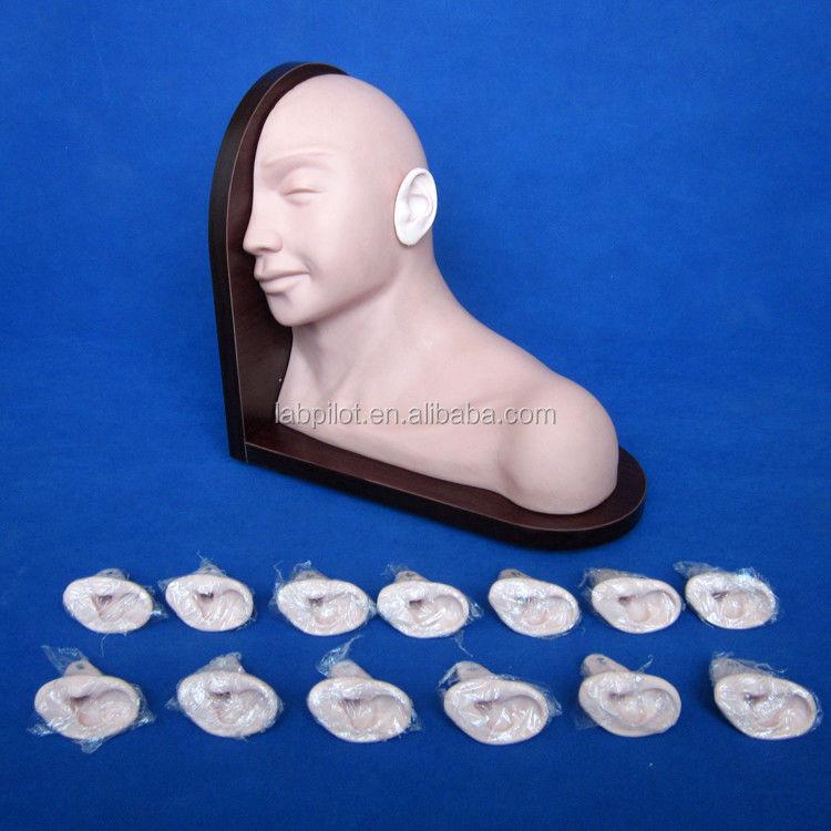 Éducation médicale Modèle d'examen de l'oreille Simulation humaine réaliste avec un ensemble de 14 pièces