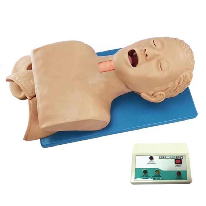 Simulateur humain polyvalent pour la gestion des voies respiratoires et la ponction cricoïde dans les hôpitaux