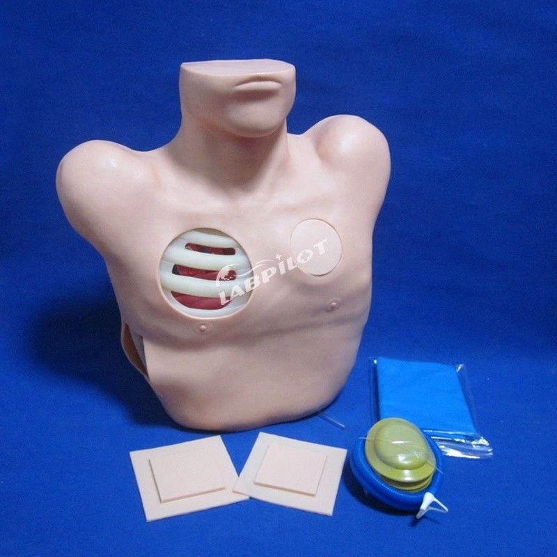 Manikine en PVC avancée pour la formation infirmière du drainage de la ponction pleurale et de la thoracentesis