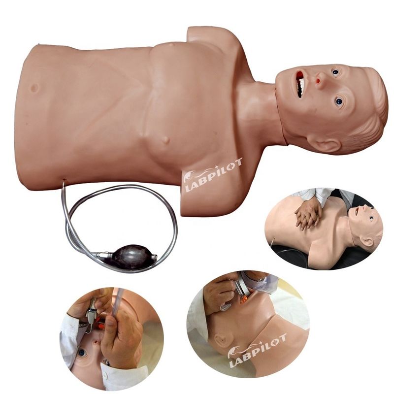 Manikine de taille humaine professionnelle pour la RCR et l'intubation des adultes