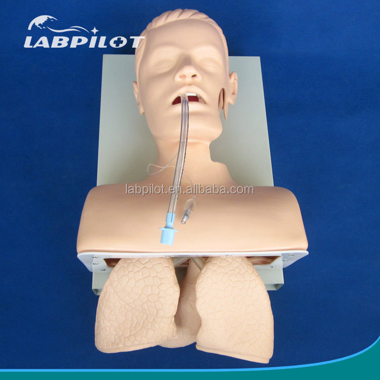 Modèle d'entraînement à l'intubation électronique de la trachée avec tube gonflable NG pulmonaire et simulateur d'aspiration Idéal