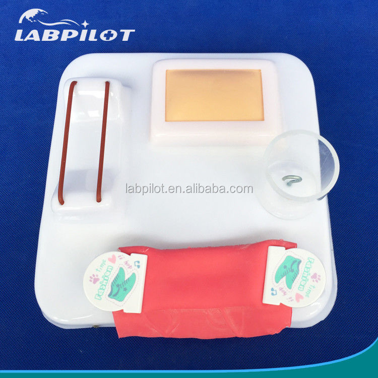 Démonstration de soins aux patients Taille de vie humaine Anastomose intestinale et couture Pad de pratique