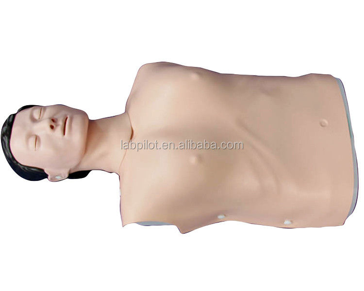 Simulation humaine réaliste Formation aux compétences d'urgence Mannequin mâle demi-corps CPR Dummy