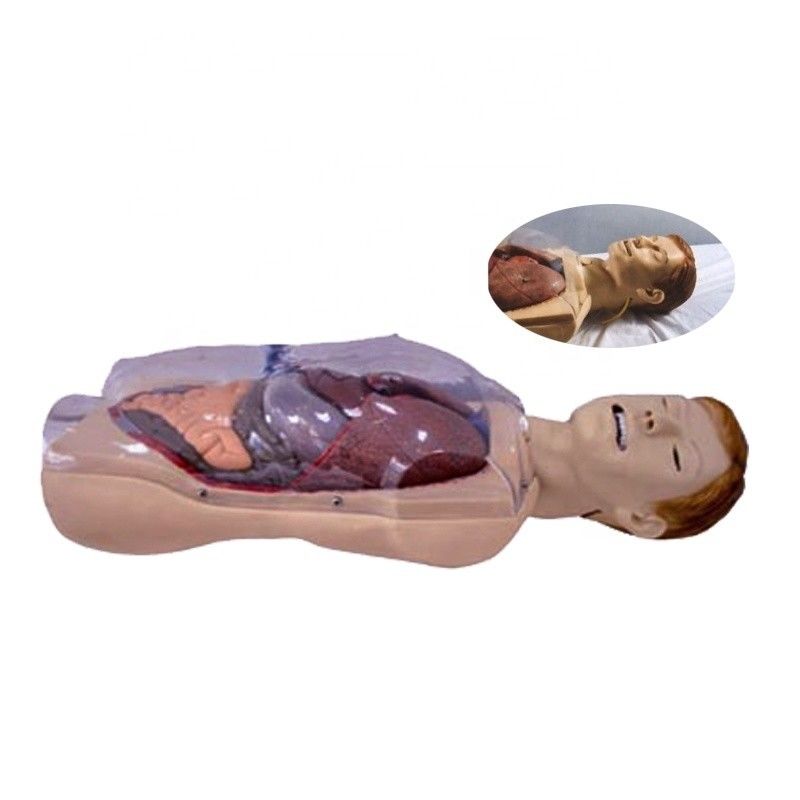 Hôpital Clinique Collège Infirmière École La taille de la vie humaine Sengstaken-Blakemore NG Tube Simulateur de formation en soins infirmiers