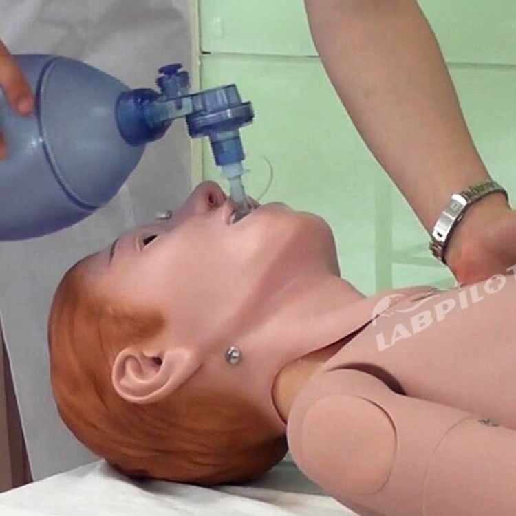 Formation aux premiers secours intelligents mannequin de taille humaine Formation en soins infirmiers cliniques