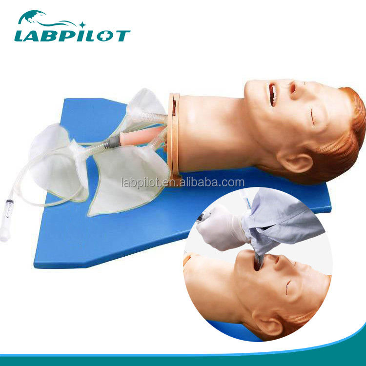 Simulateur d'entraînement d'intubation Modèle complet des voies respiratoires avec mannequin de taille humaine