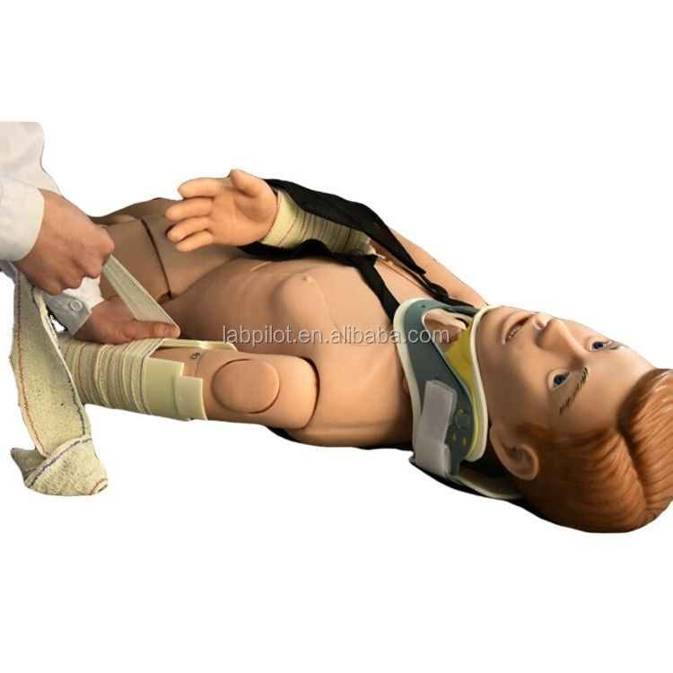 Enseignement médical Manikine pour la formation à la fixation externe en premiers soins de fracture des membres