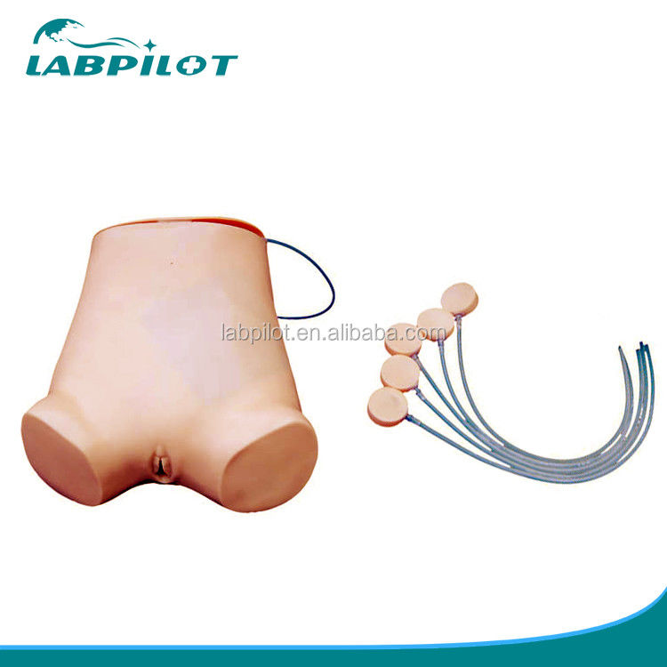 Abdominocentesis vif Compétences de pratique Modèle Avantage de la structure anatomique vif