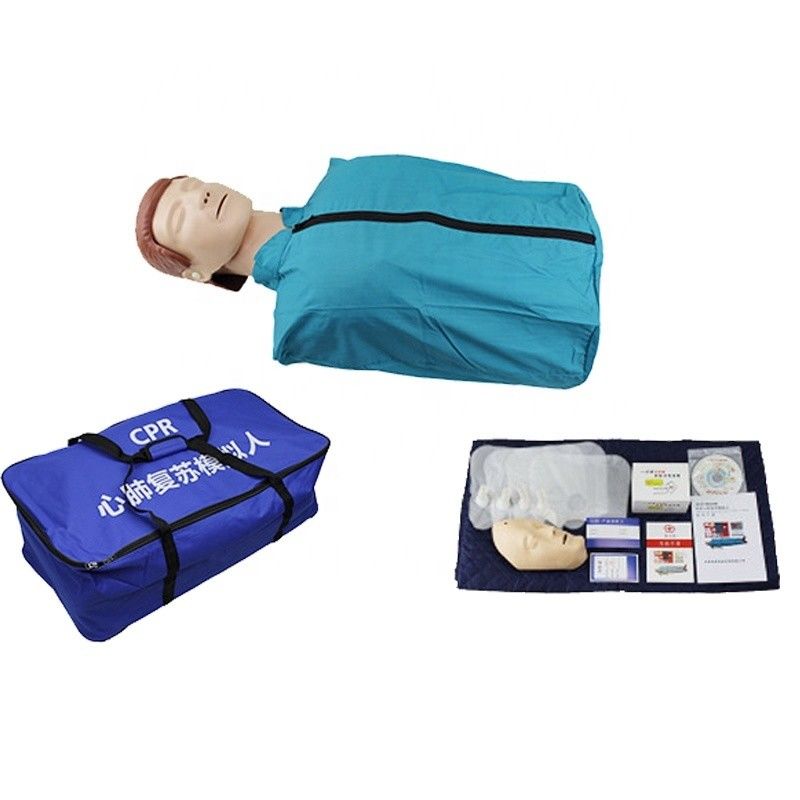 PVC Taille humaine de la moitié du corps CPR Formation mannequin pour la pratique économique de la RCR