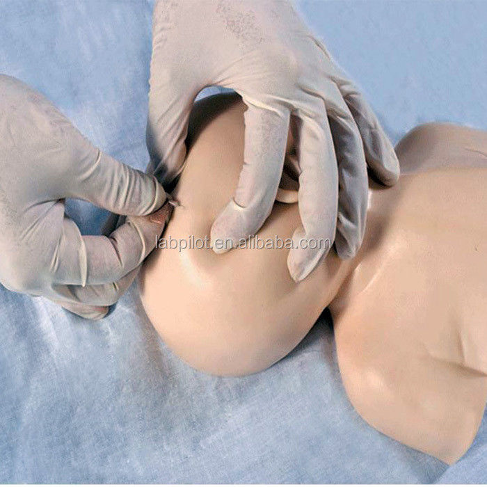 Modèle de formation à la vénénecture du cuir chevelu néonatal L'avantage de la conception de taille humaine