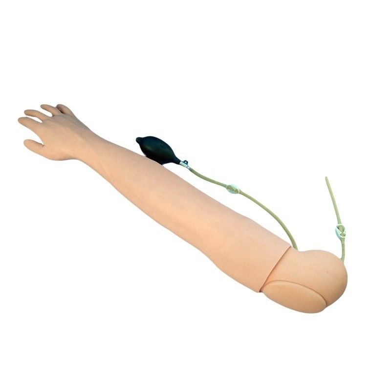Simulateur d'enseignement médical de taille humaine bras pour le prélèvement sanguin et la pratique de perfusion