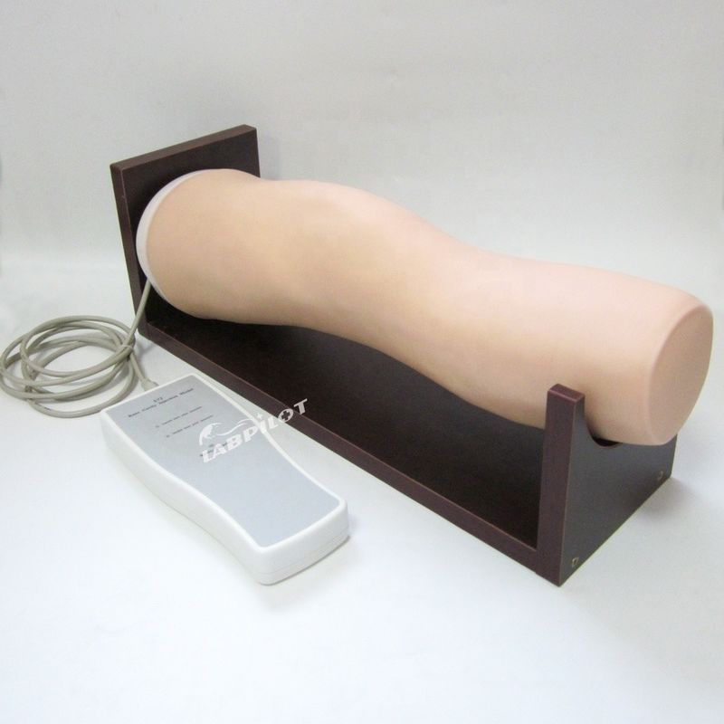 Modèle de formation à l'injection intra-articulaire électronique du genou pour les compétences en soins infirmiers cliniques