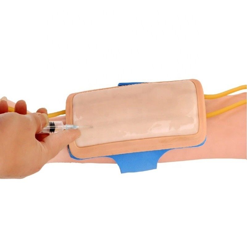 Pad d'entraînement à la vénénecture de l'avant-bras en PVC avancé IV Pad d'injection pour les sciences médicales