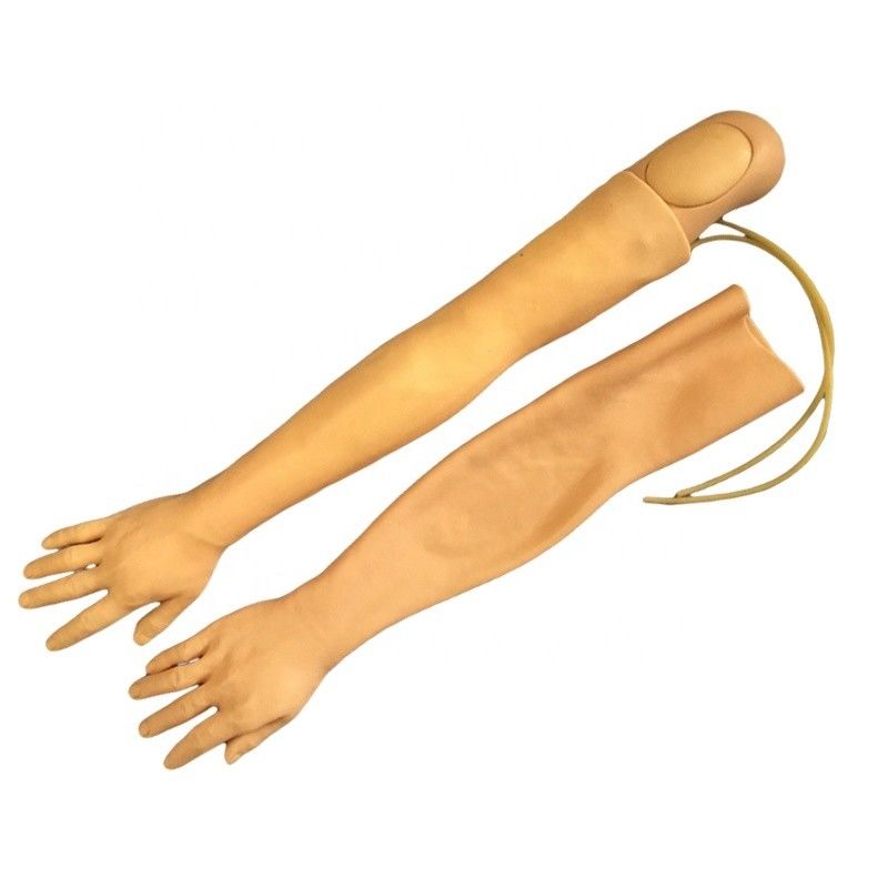 Modèle de formation à l'infirmière clinique multifonctionnelle