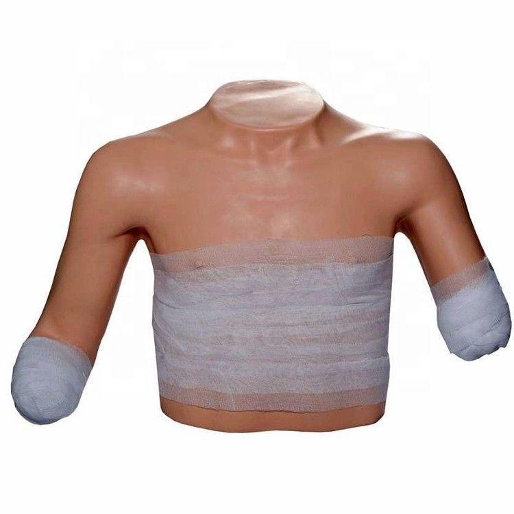 Science médicale Formation en soins aux patients Extrémité supérieure Amputation du torse Dressing et bandage de mannequin Modèle de formation