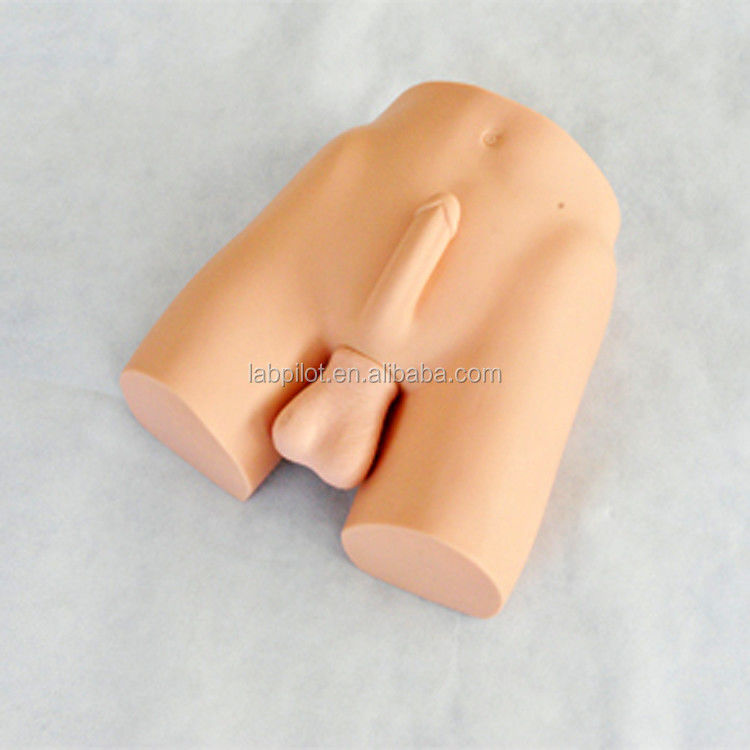 Modèle avancé de mannequin de vasectomie en PVC et simulateur de formation à la vasoligation pour les produits