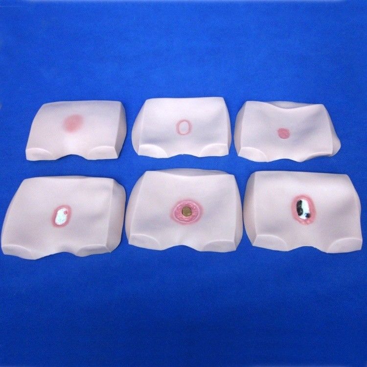 Modèles de formation en soins infirmiers cliniques