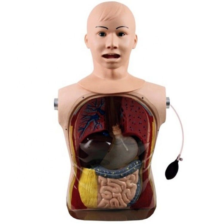 Des compétences innovantes en matière de tube nasal, gastrique et trachée