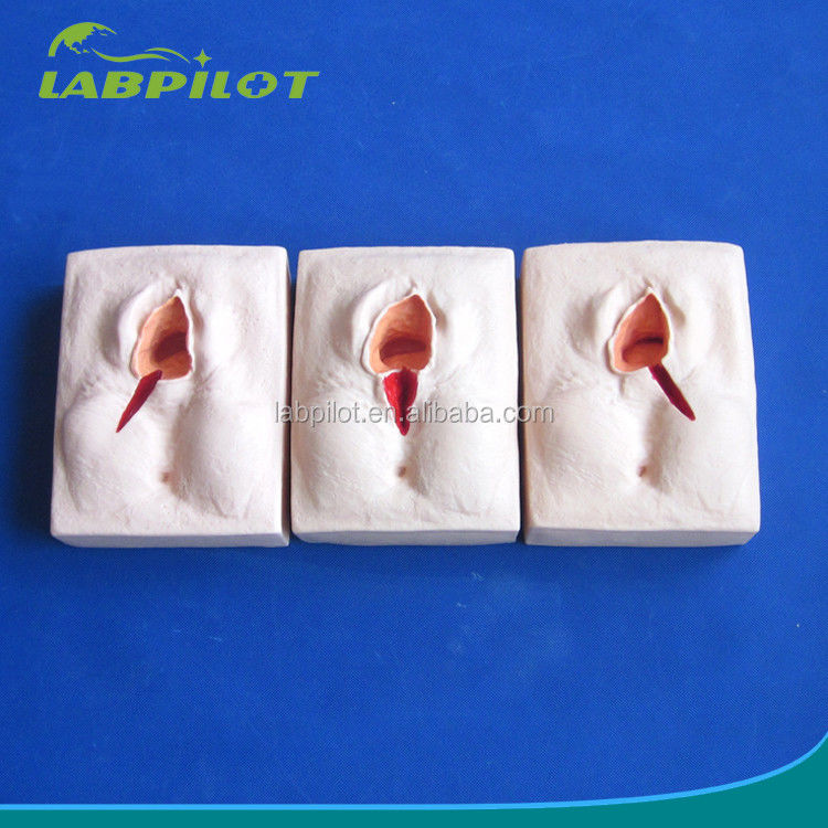 Simulateur d'entraînement à l'épisiorrhaphie en PVC avancé pour des techniques réalistes de suture de la vulve