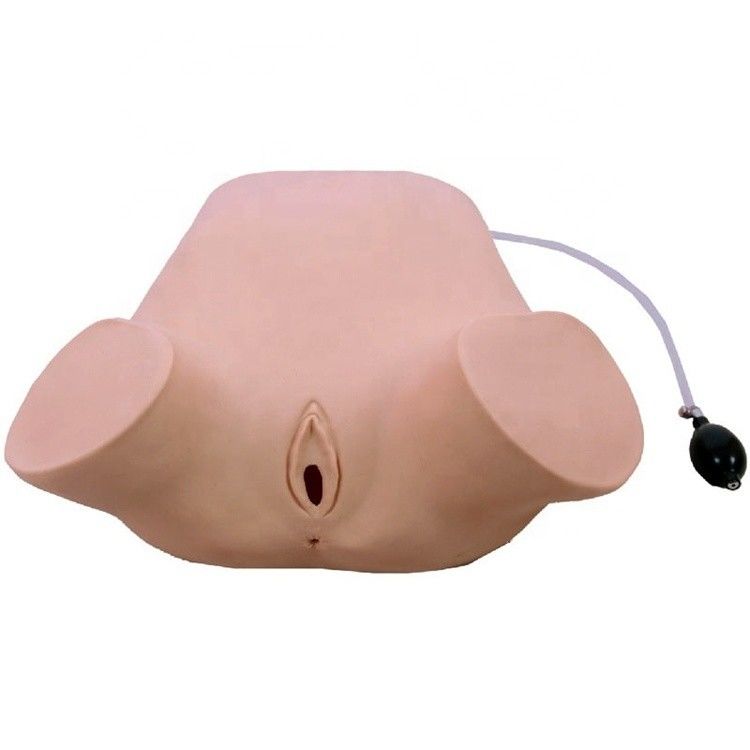 Modèle de formation à quatre manœuvres en PVC multifonctionnel pour l'examen du rectum et du vagin