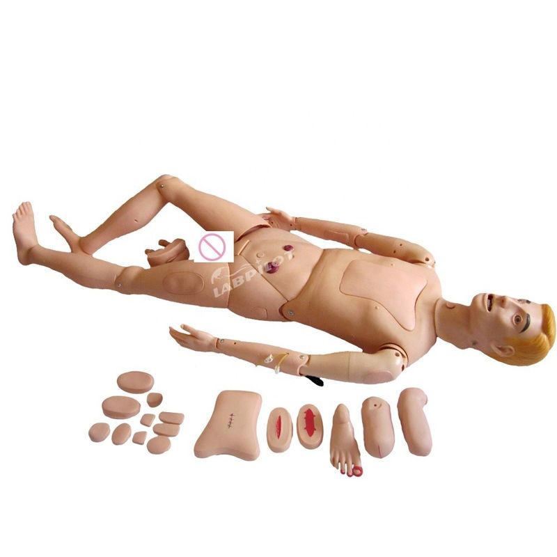 Modèle de simulation masculin et féminin