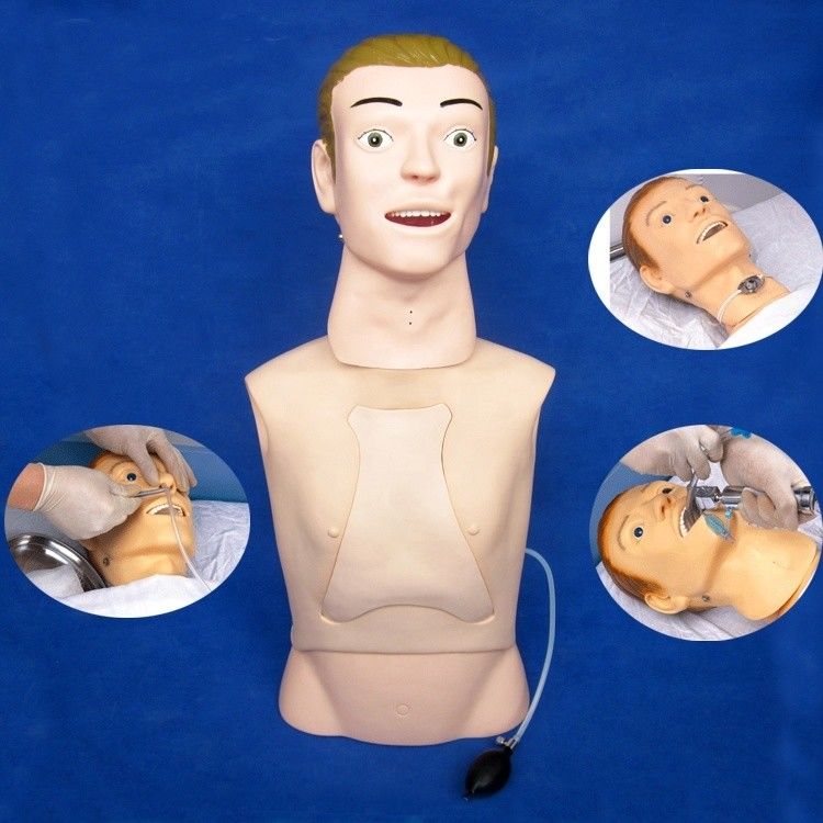 Le mannequin à demi-corps est le modèle d'enseignement ultime pour l'alimentation nasogastrique dans les hôpitaux