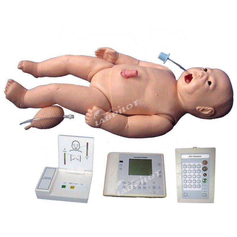 ACLS Néonatal Nursing Manikin Taille de la vie humaine Sujet pour l'enseignement des sciences médicales